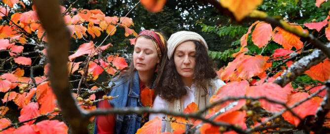 Wo immer du bist Forum Theater Stuttgart Premiere im Theater Stuttgart