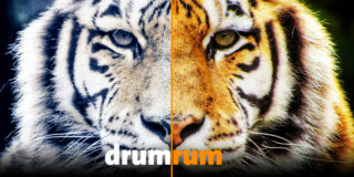 drumrum Begleitprogramm Sonderformat im Forum Theater Stuttgart