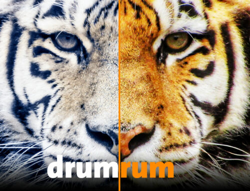 NEU! Begleitprogramm „drumrum“ ab der Spielzeit 2025/26
