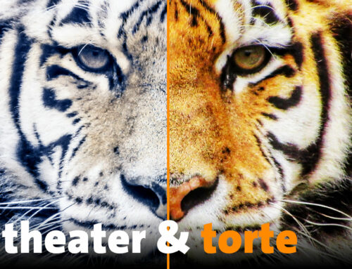NEU! theater & torte ab der Spielzeit 2025/26