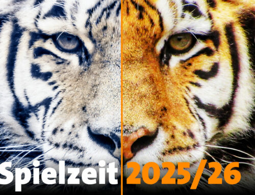 Premieren Spielzeit 2025/26